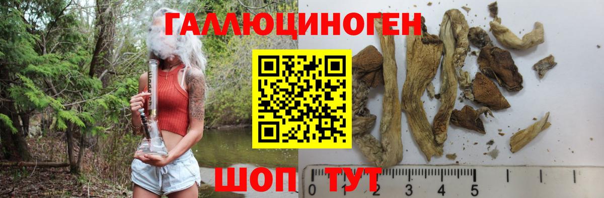 Обь  Галлюциногенные грибы мухоморы  Вход с VPN 